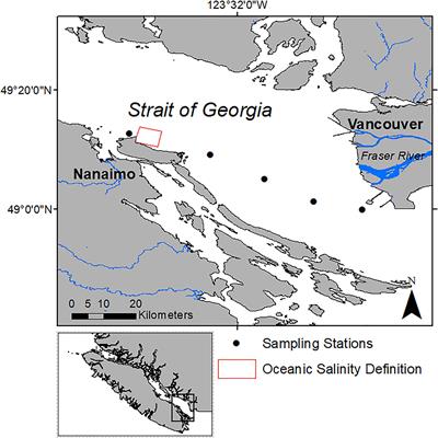 Validation of Non-photochemical Quenching Corrections for Chlorophyll-a Measurements Aboard Ships of Opportunity